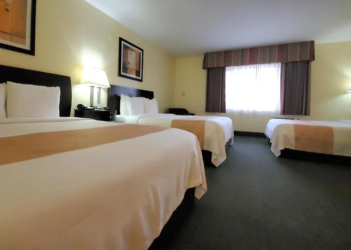 Quality Inn & Suites Anaheim At The Park