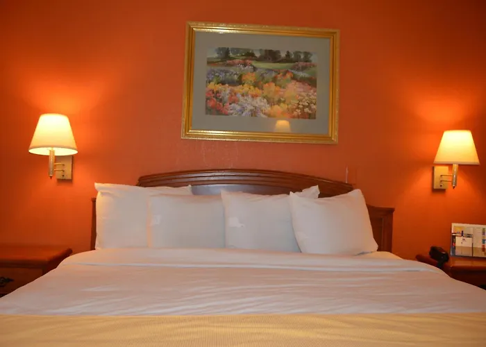 Americas Best Value Inn Gainesville Tx
