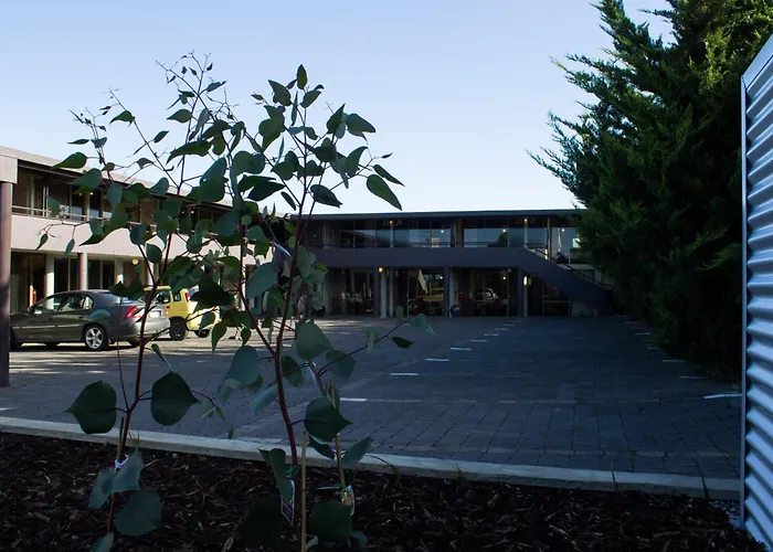 The Olive Tree Motel