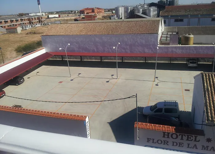 Hotel Flor De La Mancha