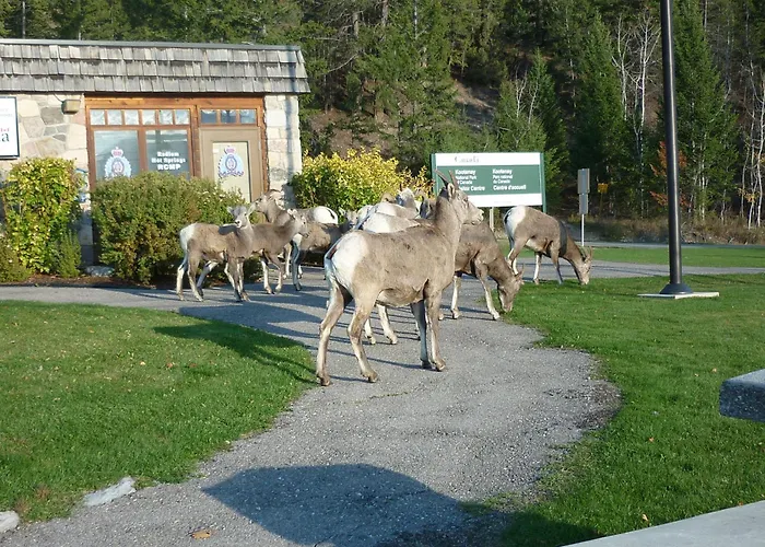 Motel Bavaria