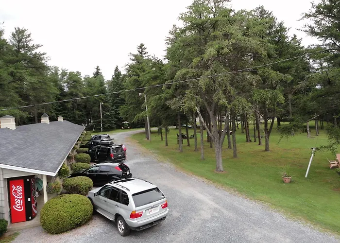 Pinecone Motel