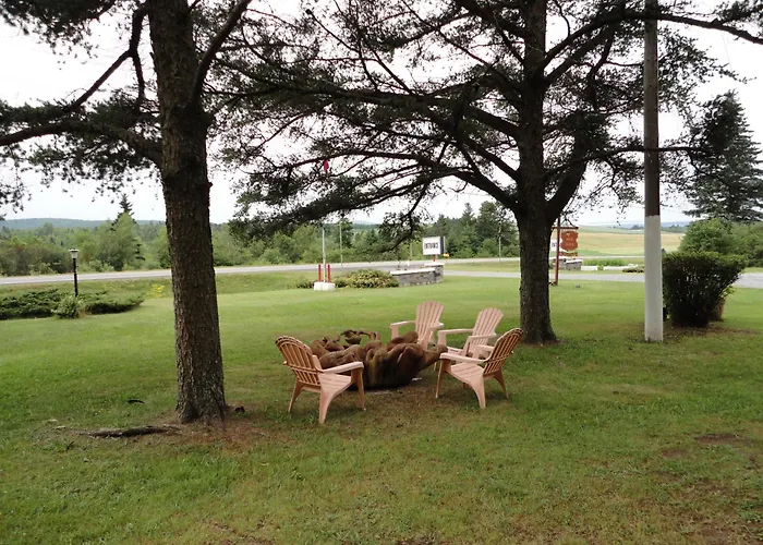Pinecone Motel