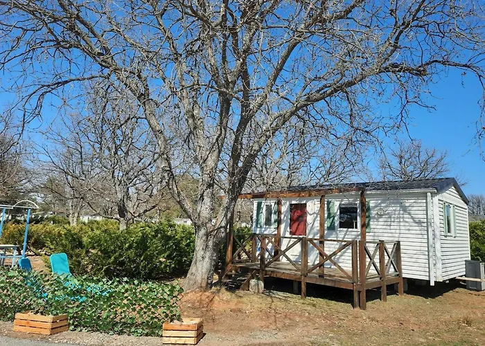Bungalow / Camping 3* / Gorges Du Verdon / Proche Du Lac De Ste Croix /Standing/ 4 P