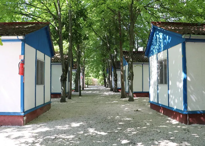Tulipan Camping