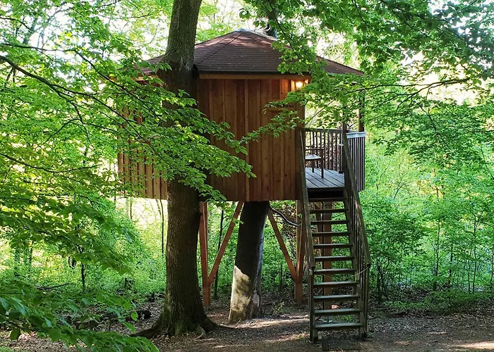 Baumhaushotel Solling