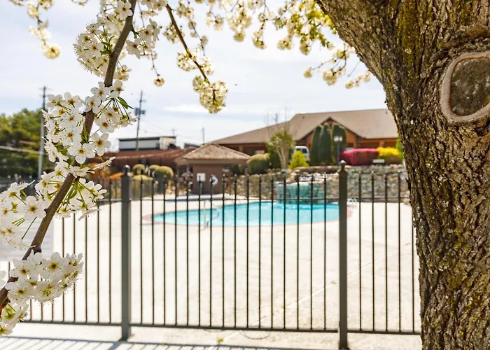 Gadsden Inn And Suites