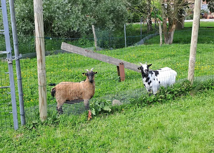 Monts De Flandre Insolite