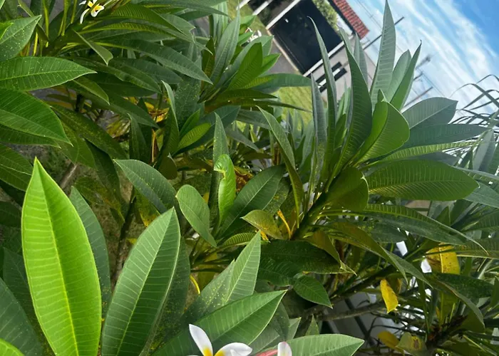 Hotel Pousada São Pedro Matão