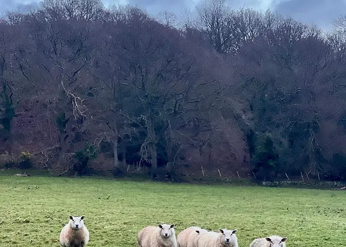 Shepherds Hut, Conwy Valley
