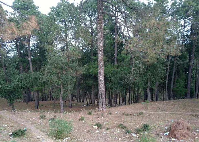 Goroomgo Prem Home Stay Ranikhet