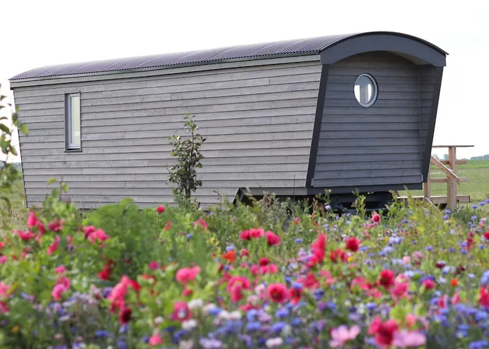 Schäferwagen Tiny House auf dem Friesenhof