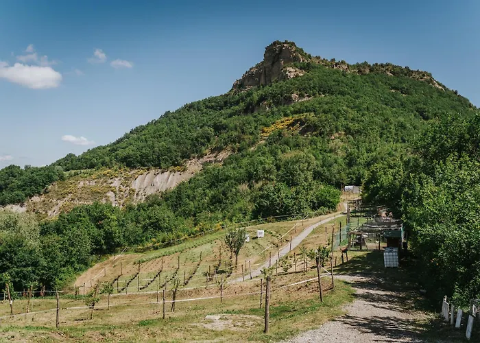 Agricampeggio Ca Di Mazza