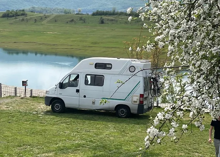 Camp Tommy
