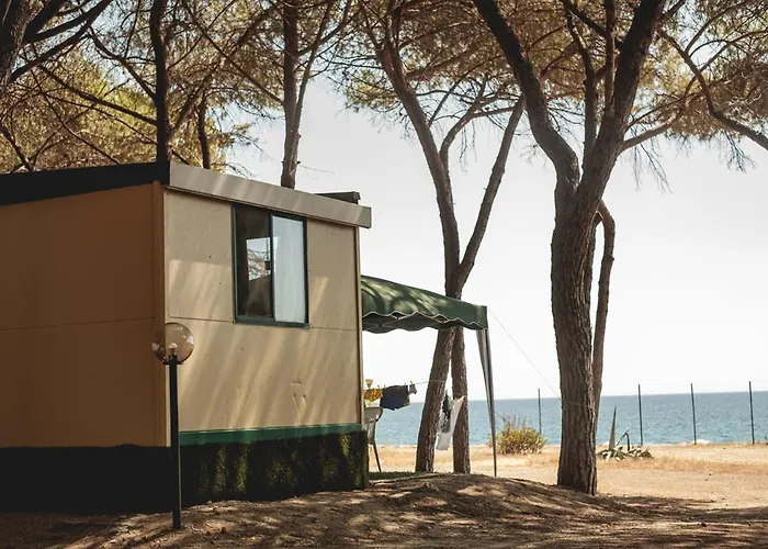 Camping Cammello Grigio