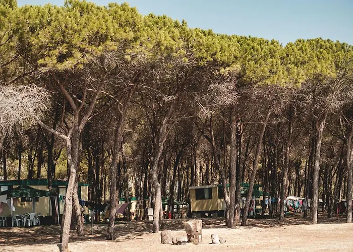 Camping Cammello Grigio