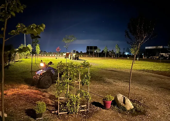 Camping Tree Olives