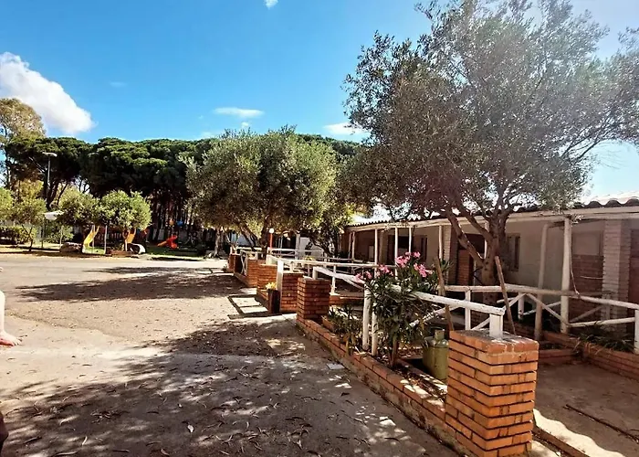 Camping Cammello Grigio