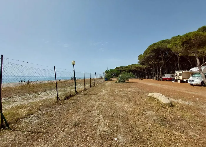Camping Cammello Grigio