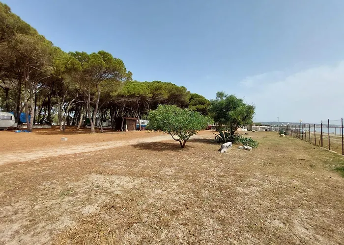 Camping Cammello Grigio