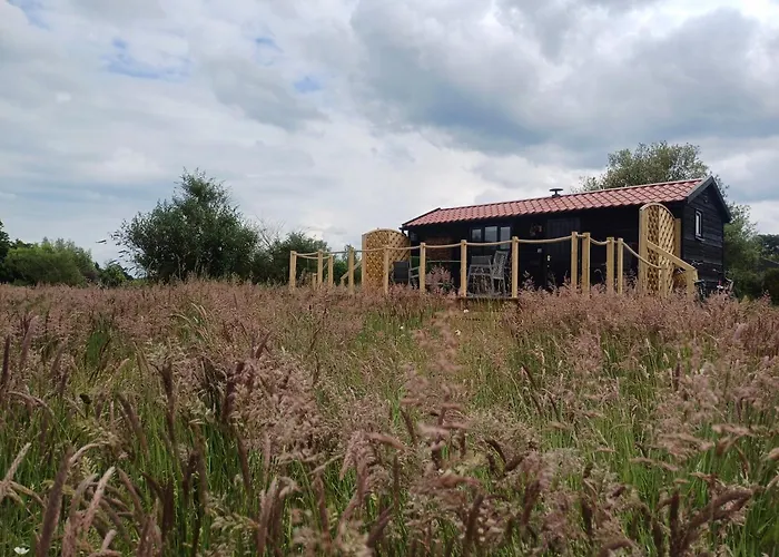 The Cabin