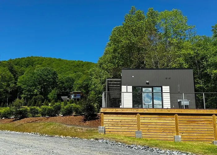 Couples Glamping Cabin-Bearly Behaving At Valley Bear Farms Resort