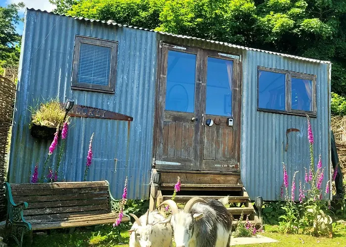 Treguth Glamping Unique Experience - Themed Huts
