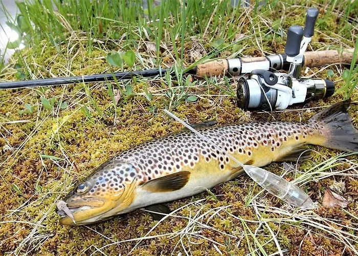 Hardanger Camping Allhovden Mountain & Fjord