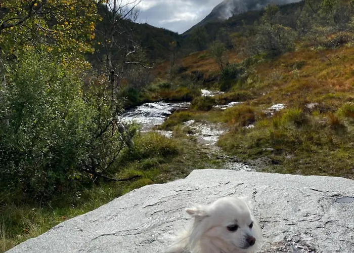 Hardanger Camping Allhovden Mountain & Fjord