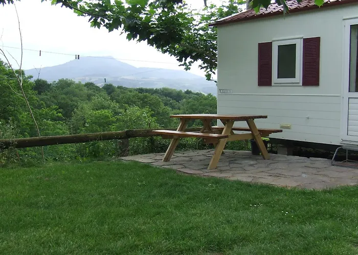 Camping Manex