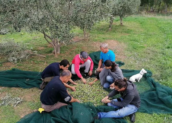 Tenuta Naturale