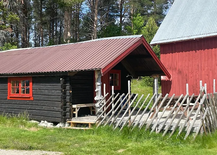 Batsto Camping
