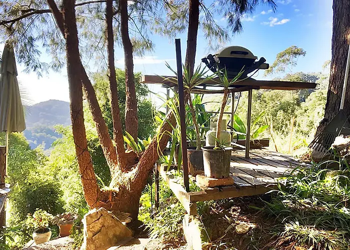 The Treepod Of The Treehouse