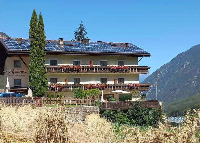 Alpenrose