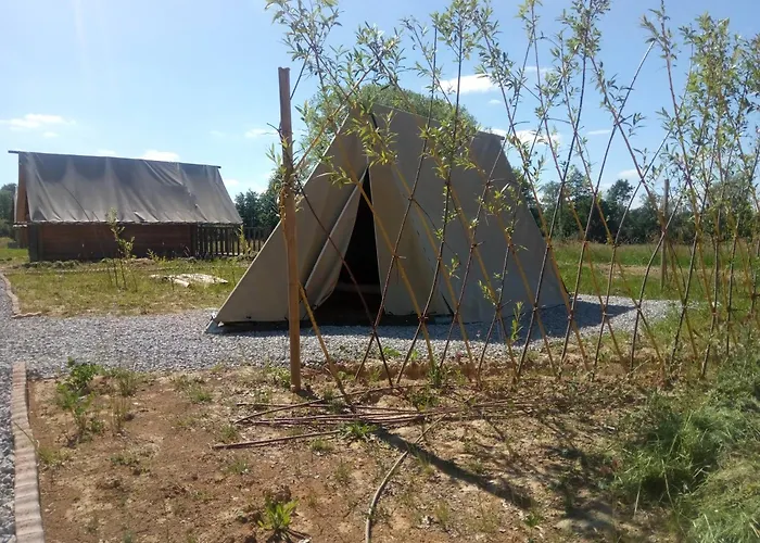 Scout-1