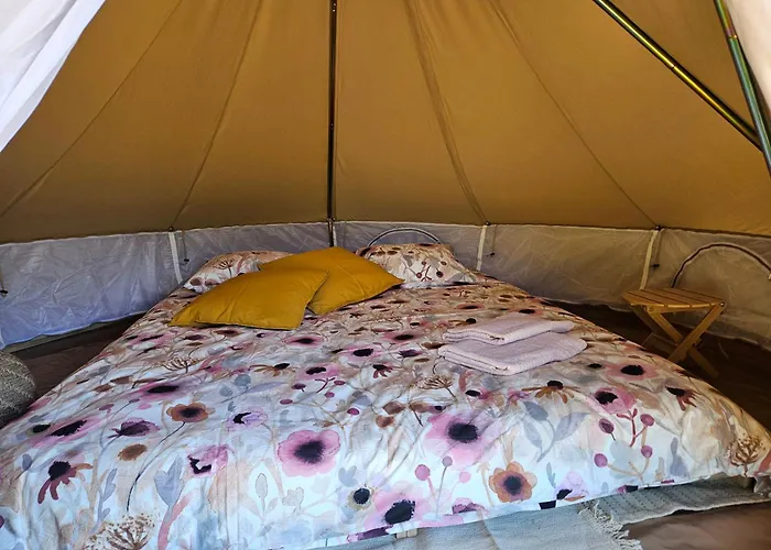 Eco Camp Supot