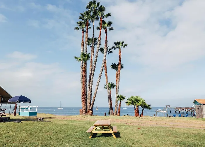 White'S Landing Catalina Camp