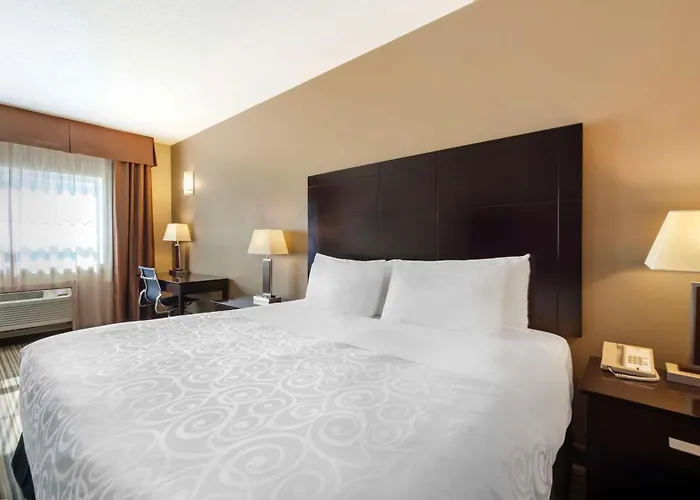 Best Western Plus Peace River Hotel & Suites
