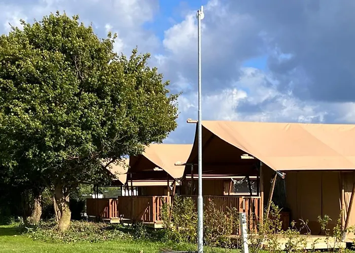Dancamps Trelde Naes Resort