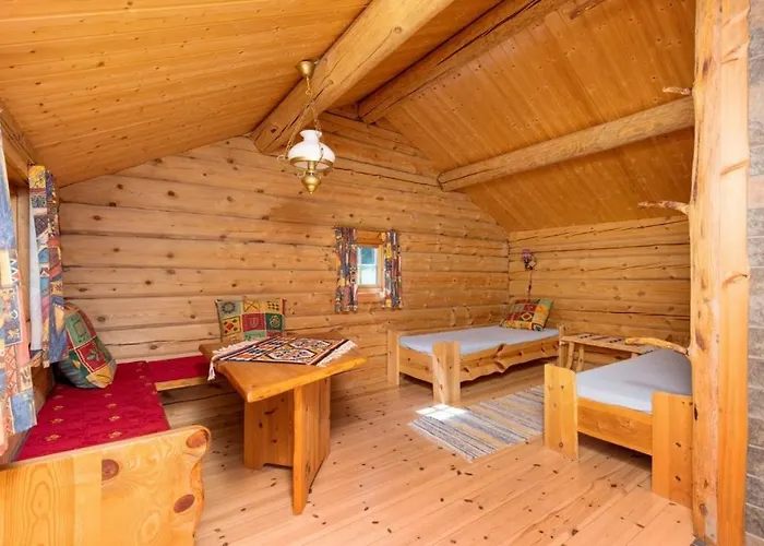 Skogcamping