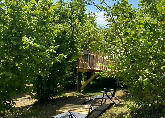 La Nocciolaia Glamping Di Langa