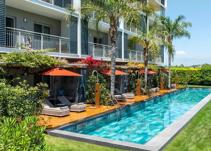 Barut Goia