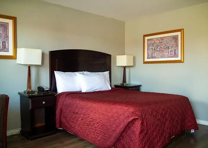 Saxony Motel