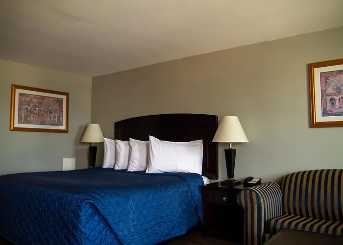 Saxony Motel
