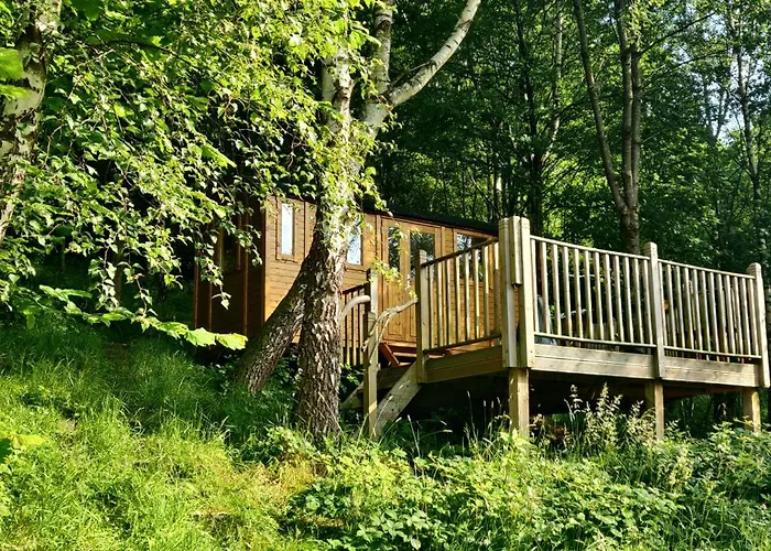 Pike'S Cabin In The Woods