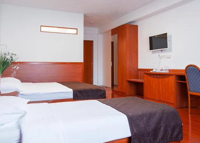 Hotel Saraj