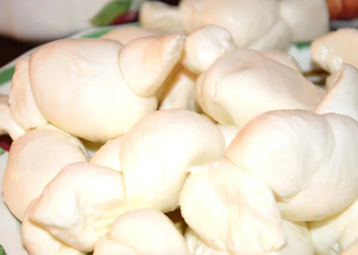 Il Sogno Delle Benedettine