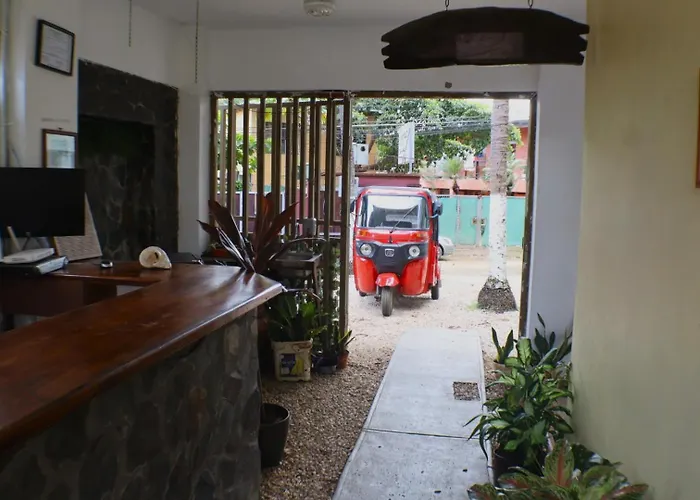 Coconut Beach House