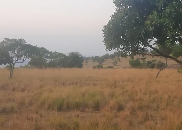 Enkereri Camp Maasai Mara