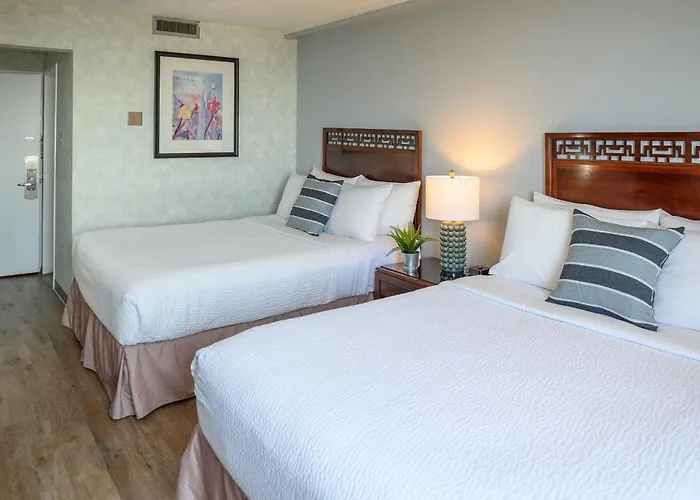 Rodd Grand Yarmouth